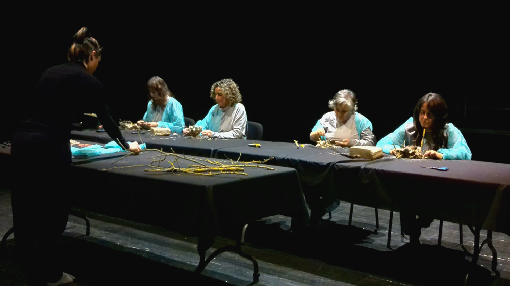 Fotografía de Liquen