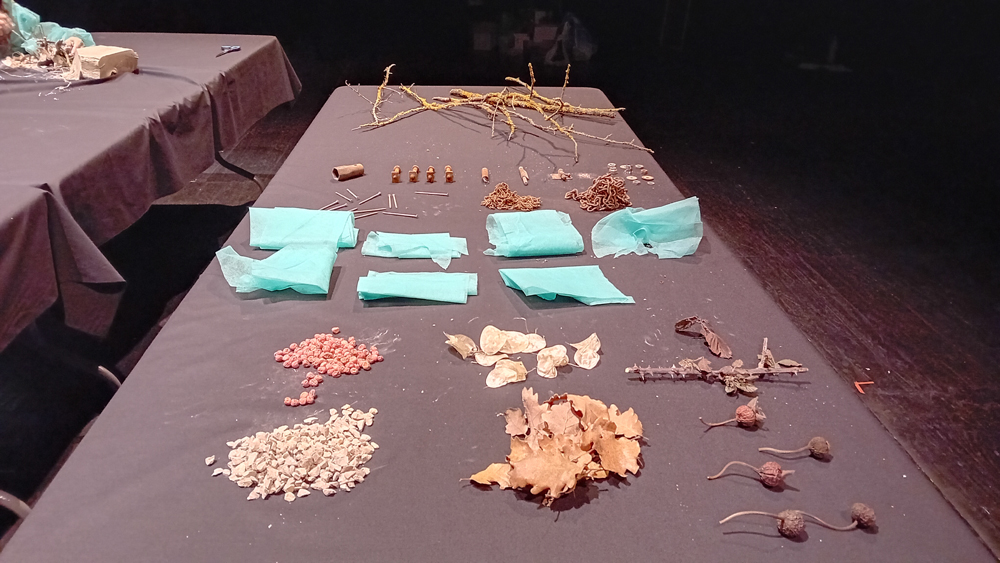 Fotografía de Liquen