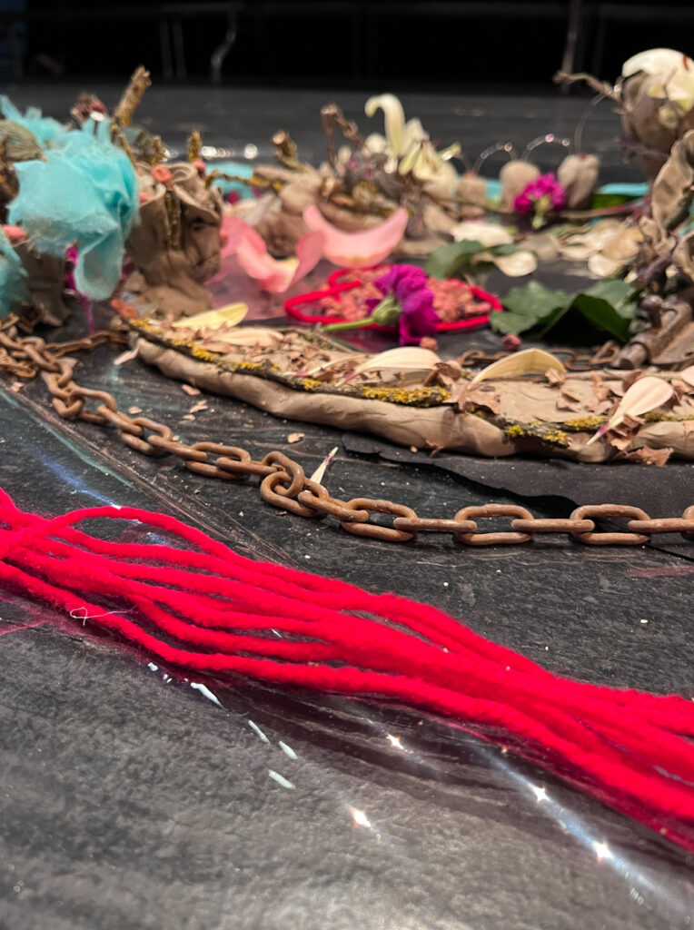 Fotografía de Liquen