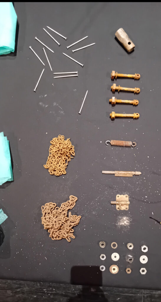 Fotografía de Liquen